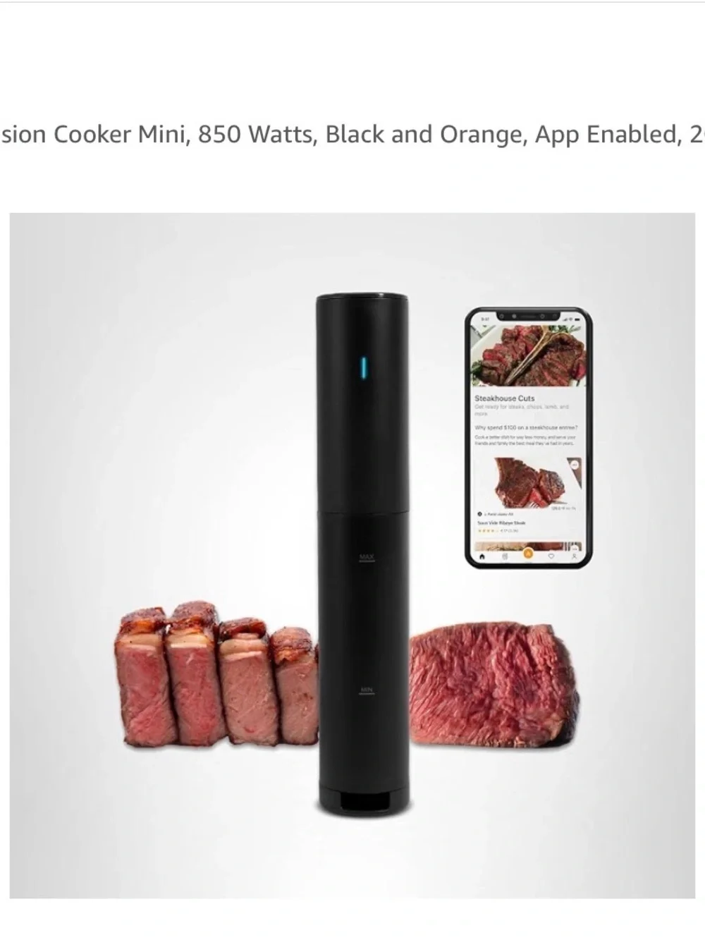 Sous Vide Immersion Circulator - Black